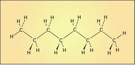 Conformation de la chaîne du n-octane - crédits : Encyclopædia Universalis France