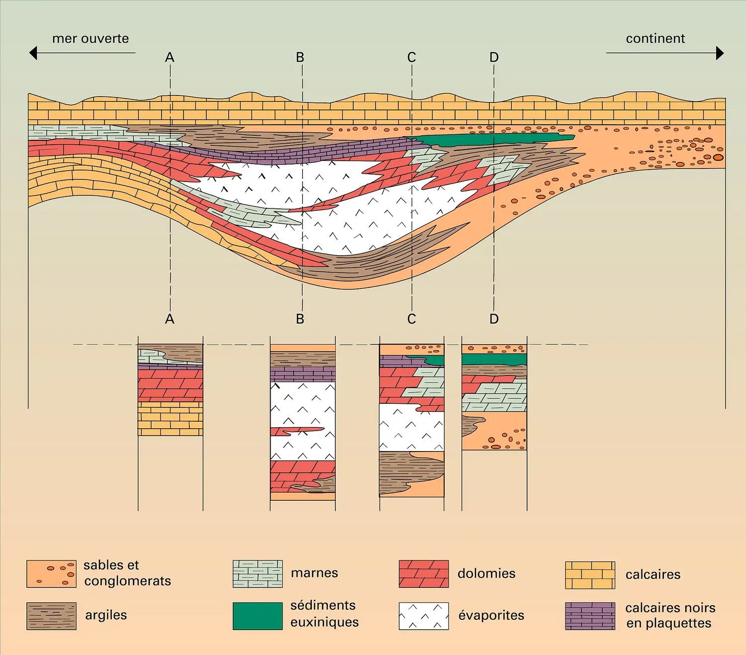 Bassin marin fossilisé