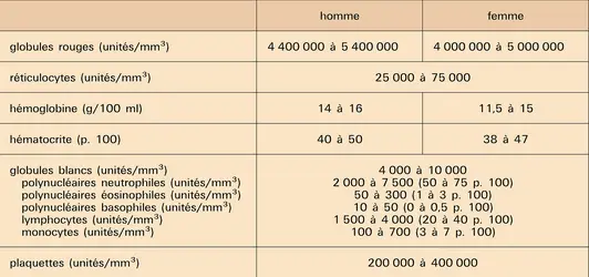 Hémogramme normal chez l'adulte - crédits : Encyclopædia Universalis France