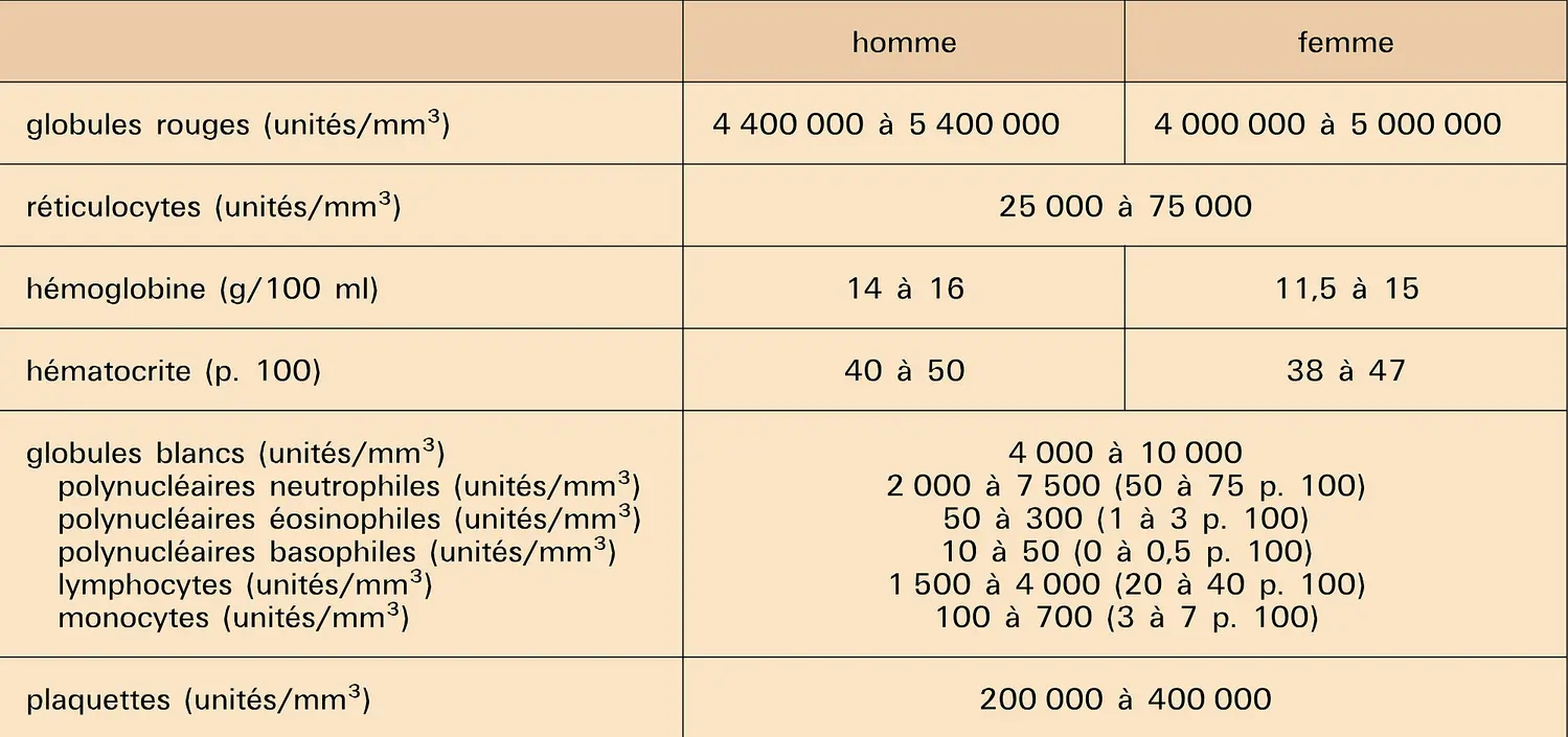 Hémogramme normal chez l'adulte