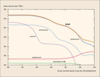 Nucléaire : actinides - crédits : Encyclopædia Universalis France