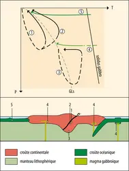 Trajets PTt caractéristiques de contextes géodynamiques différents - crédits : Encyclopædia Universalis France