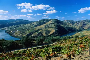 Vallée du Douro - crédits : James Strachan/ The Image Bank/ Getty Images