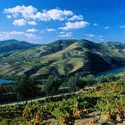 Vallée du Douro - crédits : James Strachan/ The Image Bank/ Getty Images