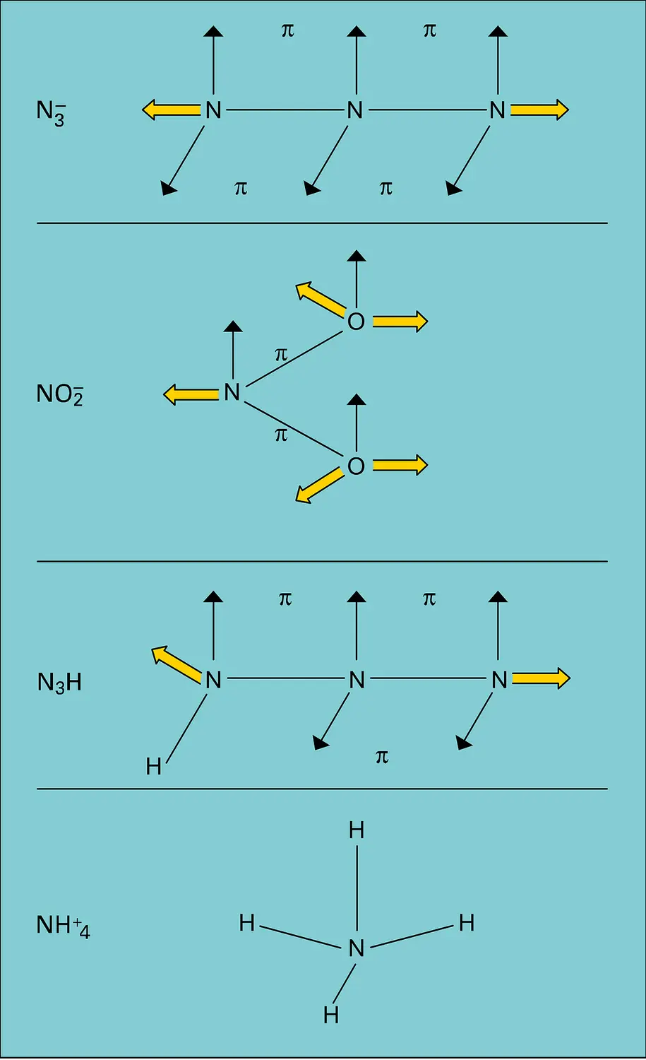 Hybridation