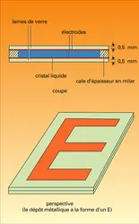 Cellule d'affichage - crédits : Encyclopædia Universalis France