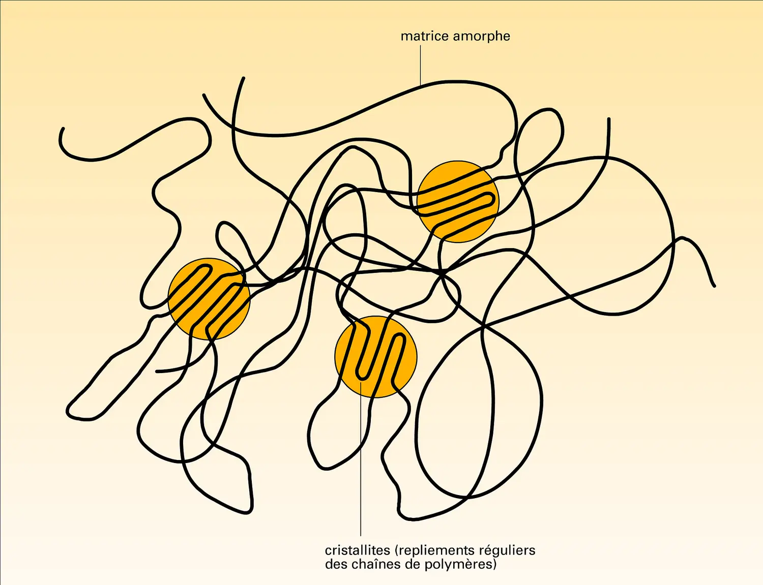 Visualisation de polymères à faible taux de cristallinité