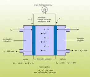 Pile à hydrogène, oxygène et solution d'hydroxyde de potassium - crédits : Encyclopædia Universalis France