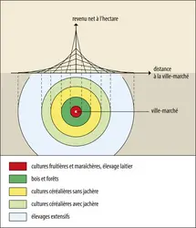 Modèle spatial de von Thünen - crédits : Encyclopædia Universalis France