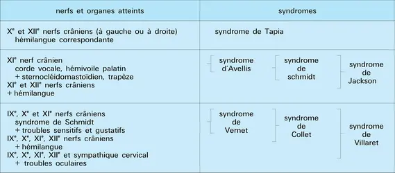 Paralysies laryngées associés - crédits : Encyclopædia Universalis France