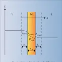 Profil de concentration lors de la dialyse - crédits : Encyclopædia Universalis France