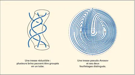 Classification de Nielsen-Thurston - crédits : Encyclopædia Universalis France