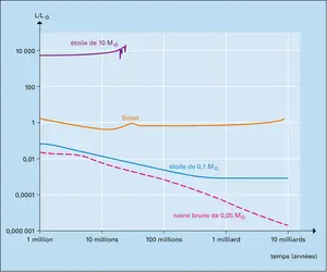 Évolution de la luminosité de différentes étoiles et d'une naine brune - crédits : Encyclopædia Universalis France
