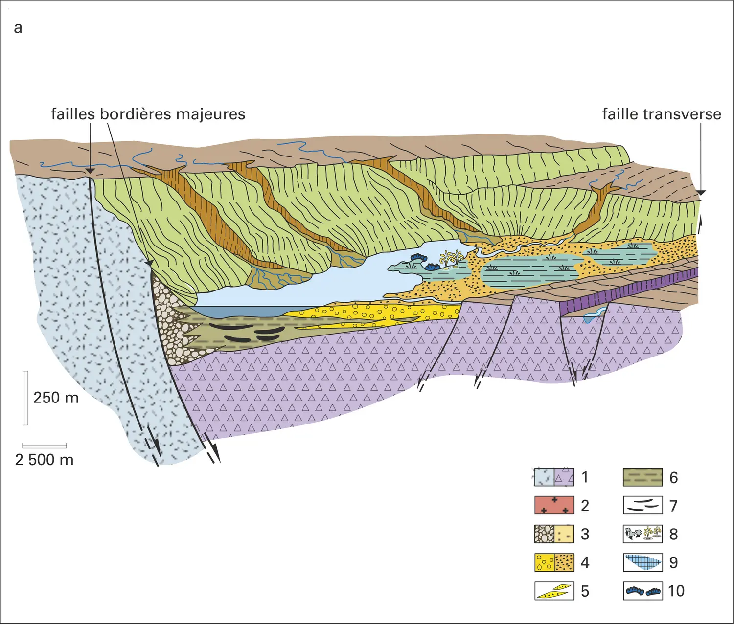 Vue schématique d'un bassin de rift  - vue 1