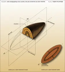 Anticlinal et synclinal - crédits : Encyclopædia Universalis France