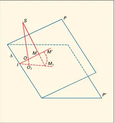 Homologies - crédits : Encyclopædia Universalis France