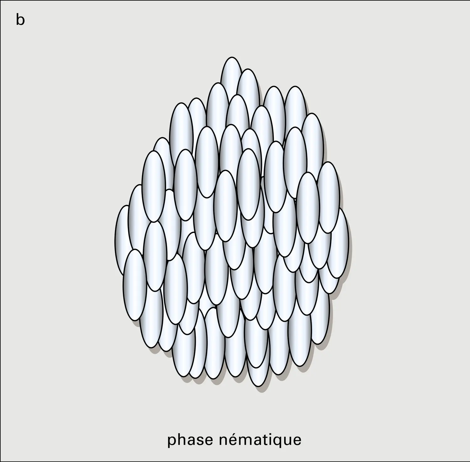 Cristaux thermotropes - vue 2