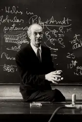 Linus Carl Pauling, 1955 - crédits : Reproduced with permission of the Ava Helen and Linus Pauling Papers, Oregon State University Library