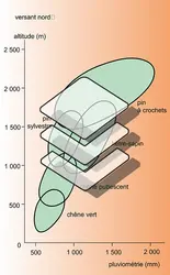 Forêts pyrénéennes : aires ombrothermiques - crédits : Encyclopædia Universalis France