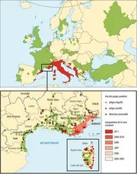 Invasion du sud de l'Europe par <it>Aedes albopictus</it> - crédits : Encyclopædia Universalis France