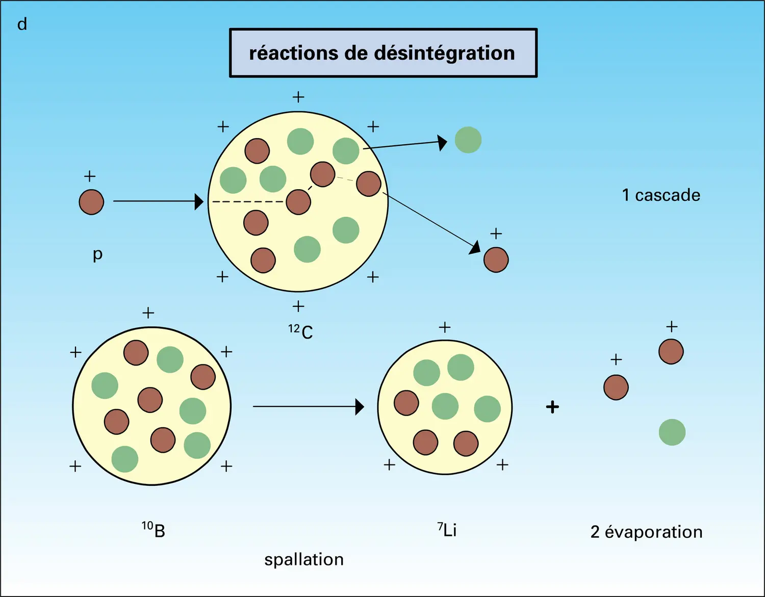 Formation des éléments chimiques : processus - vue 4