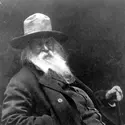 Walt Whitman - crédits : Three Lions/ Hulton Archive/ Getty Images