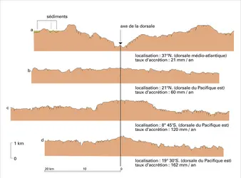 Profils bathymétriques - crédits : Encyclopædia Universalis France