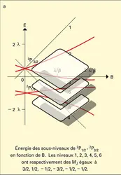 Effet Paschen-Back - crédits : Encyclopædia Universalis France