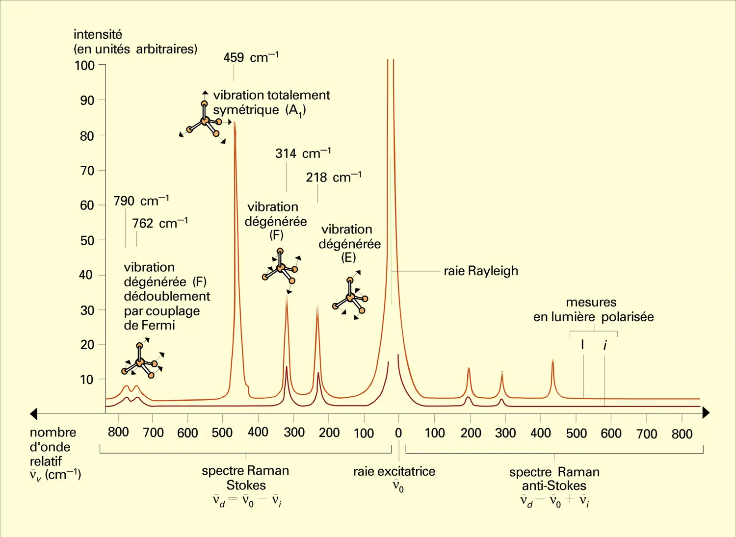 Spectre Raman : tétrachlorure de carbone - vue 2