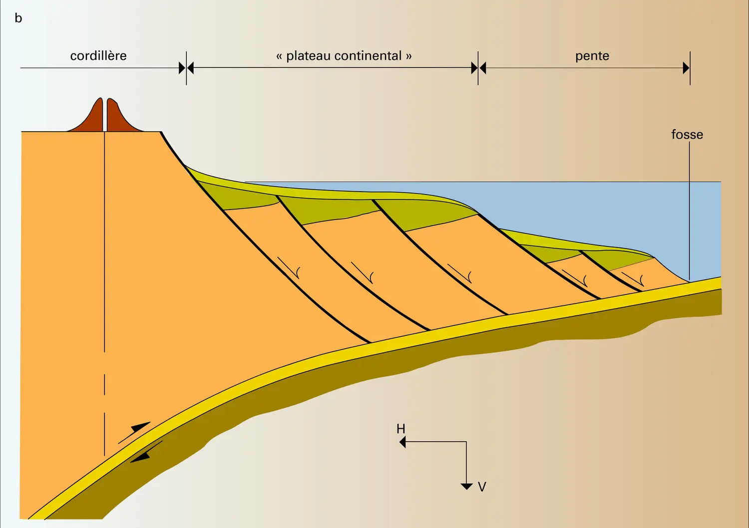 Unités morphotectoniques d'une zone de subduction - vue 2