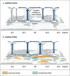 Circulation zonale : la cellule de Walker - crédits : Encyclopædia Universalis France