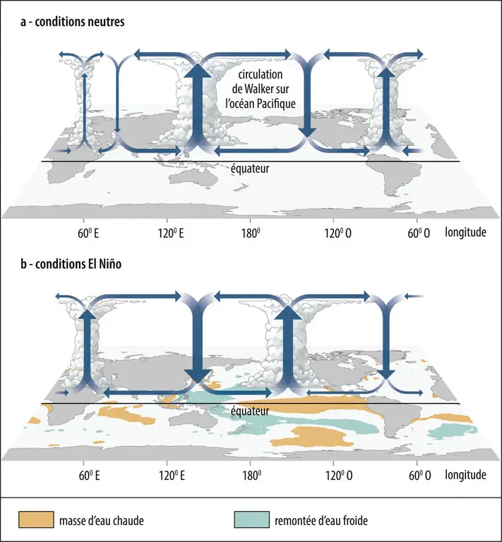 Circulation zonale : la cellule de Walker