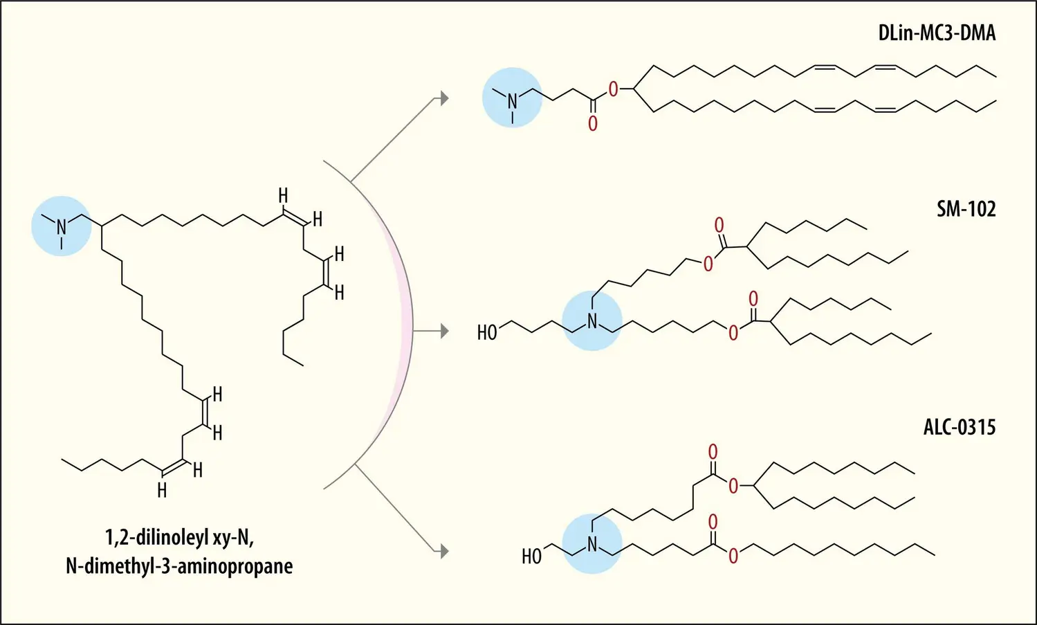 Lipides cationiques vecteurs d’ARNm