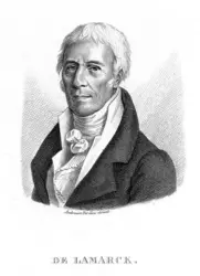 Jean-Baptiste de Monet, chevalier de Lamarck - crédits : Wellcome Library, London