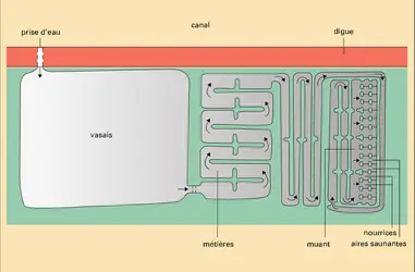 Marais salant - crédits : Encyclopædia Universalis France