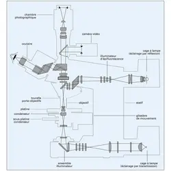 Microscope universel Axioplan - crédits : Encyclopædia Universalis France