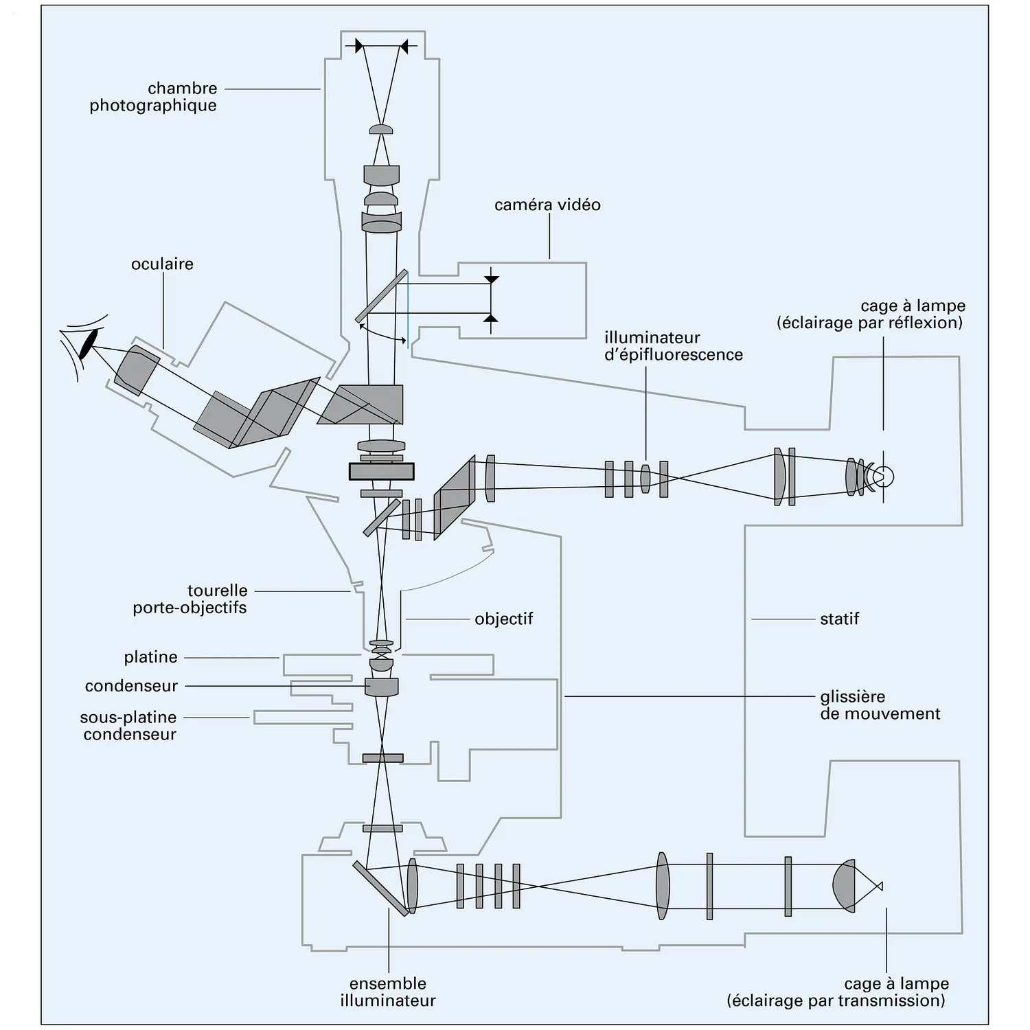 Microscope universel Axioplan