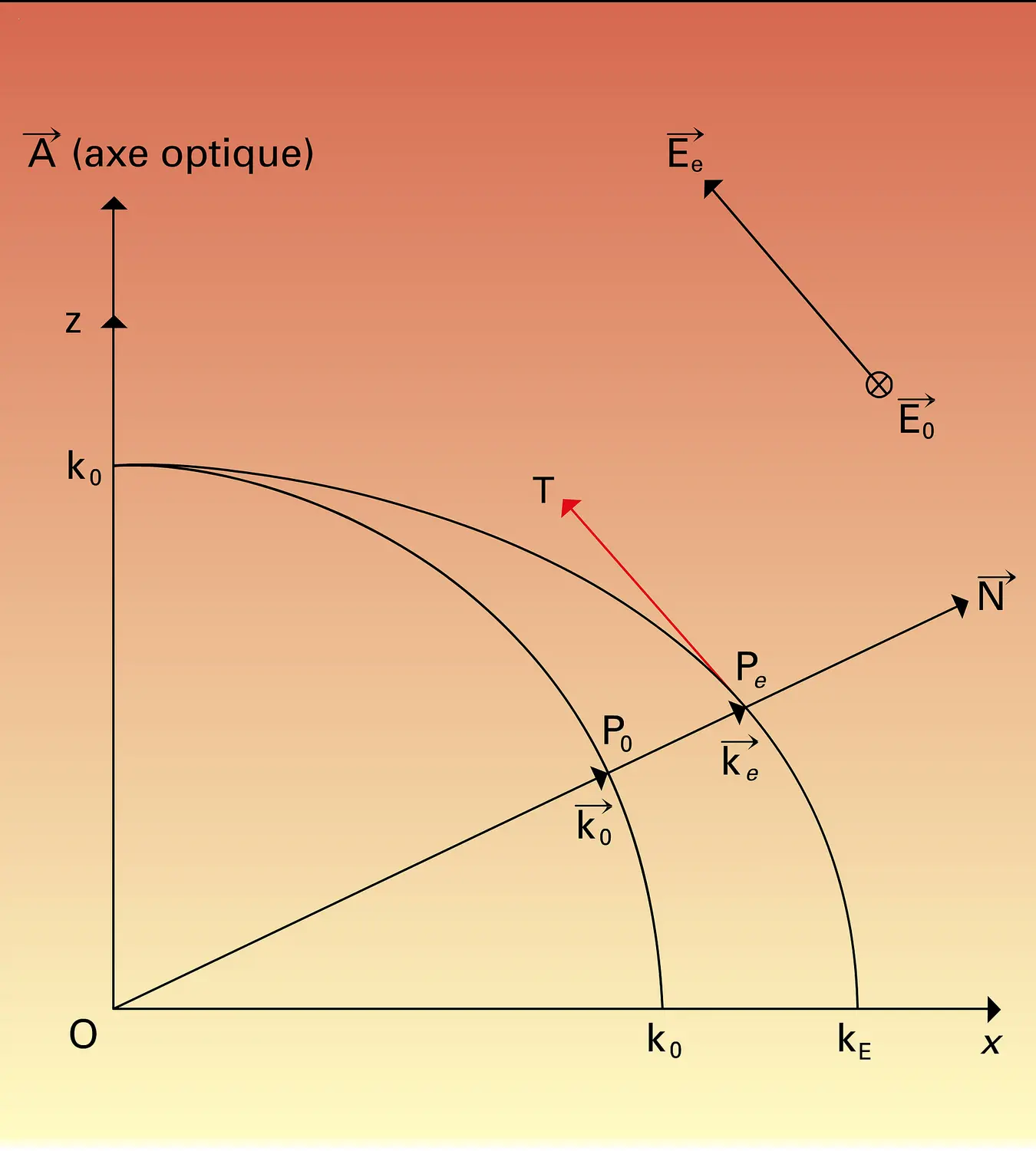 Plan de section principale