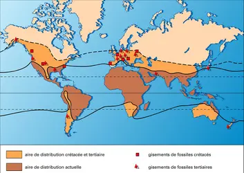 Palmiers : aires de répartition - crédits : Encyclopædia Universalis France