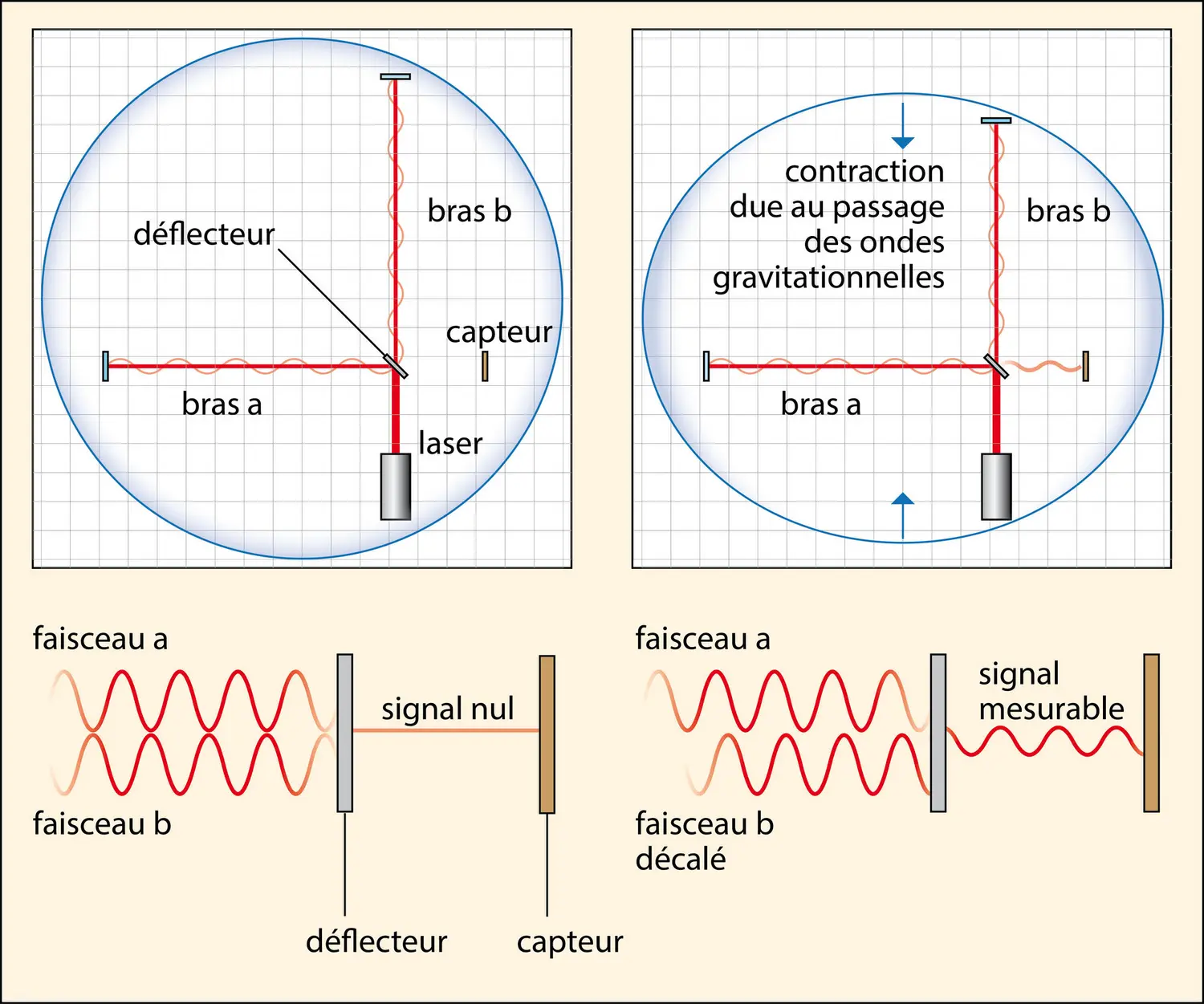 Signal d’une onde gravitationnelle