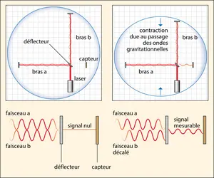 Signal d’une onde gravitationnelle - crédits : Encyclopædia Universalis France