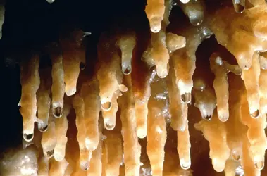 Stalactites - crédits : Tom Bean/ Getty Images