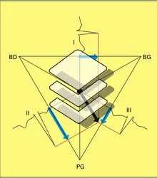 Triangle d'Einthoven - crédits : Encyclopædia Universalis France