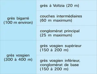 Trias inférieur des Vosges - crédits : Encyclopædia Universalis France