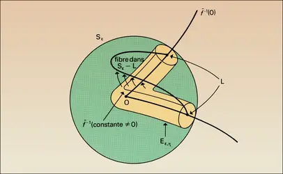 Fibration de Milnor - crédits : Encyclopædia Universalis France