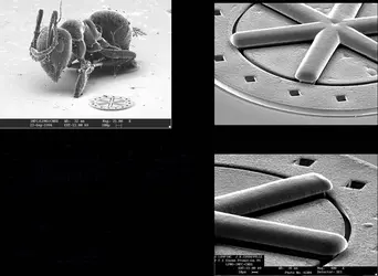Microsystèmes : micro-moteur électrostatique rotatif métallique - crédits : D.R./ FEMTO-ST, Besançon