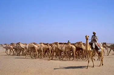 Désert de Nubie, Égypte - crédits : Hermes Images/ AGF/ Universal Images Group/ Getty Images