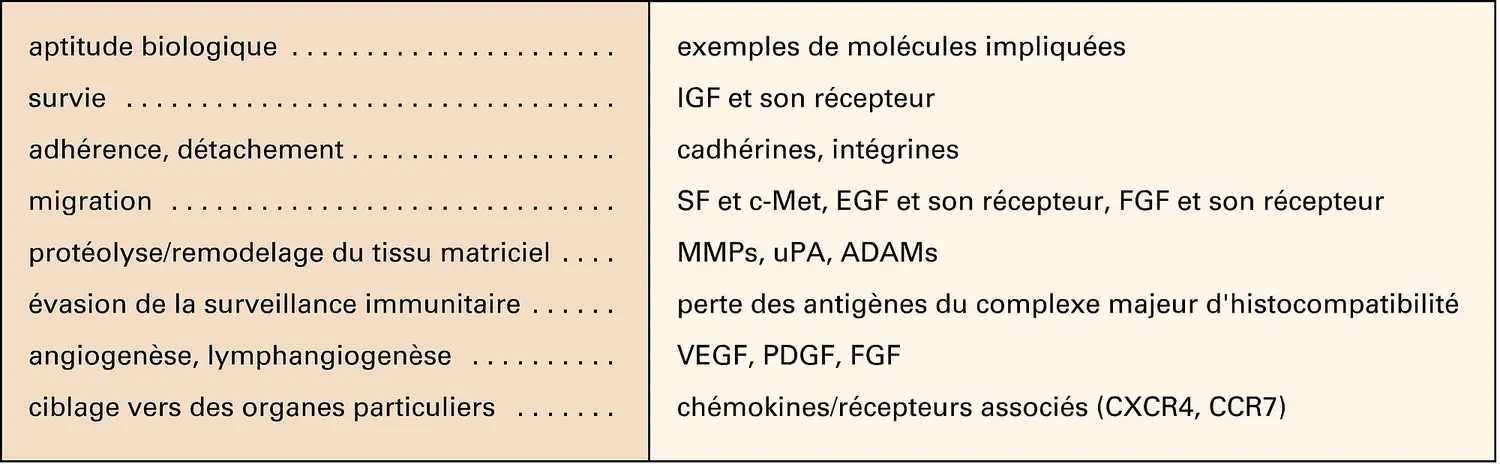 Métastases : principales molécules impliquées