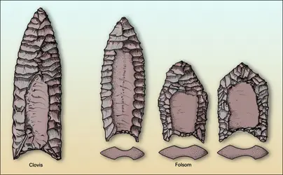 Pointes lancéolées à cannelures - crédits : Encyclopædia Universalis France