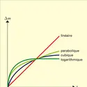 Lois cinétiques d'oxydation des métaux - crédits : Encyclopædia Universalis France